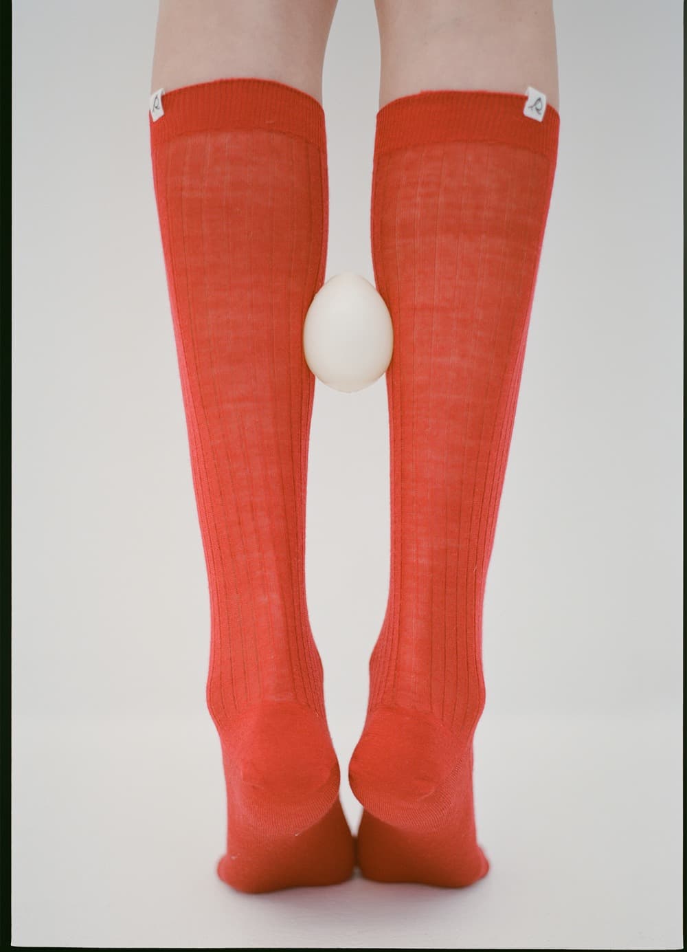 Wool Tender High Socks - 6Colors